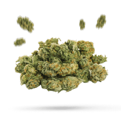 1:1 Buddha's Smile - Cannabissorte