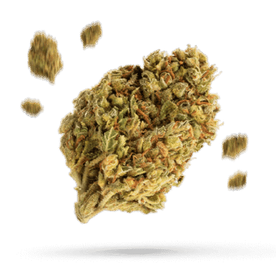 2 Fast 2 Vast - Cannabissorte