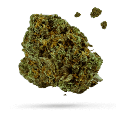 3 Kings - Cannabissorte