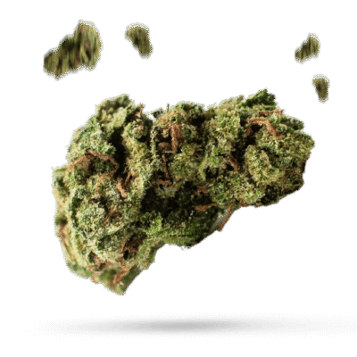 303 Kush - Cannabissorte