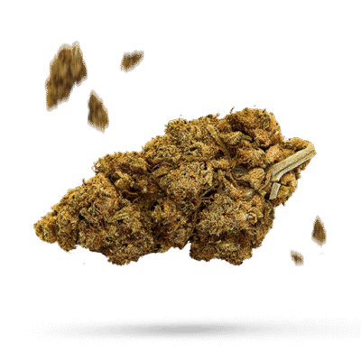 4 Prophets - Cannabissorte