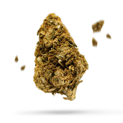 501st OG - Cannabissorte