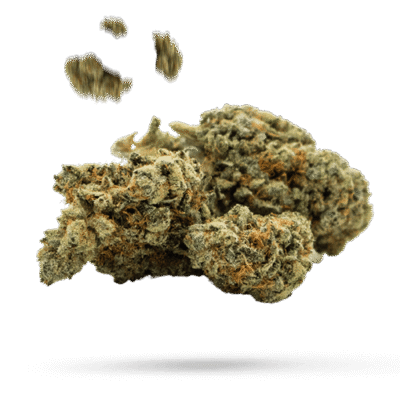 5th Element - Cannabissorte