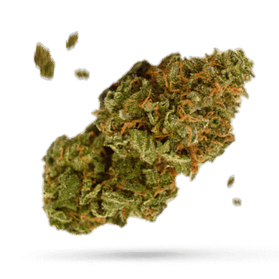 805 Glue - Cannabissorte