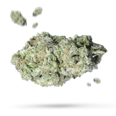 9 lb Hammer - Cannabissorte