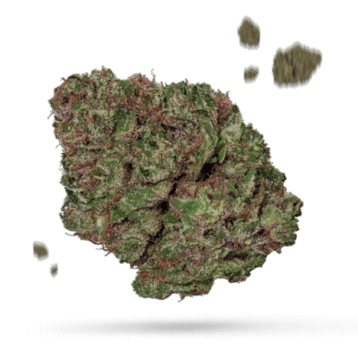 91 Krypt - Cannabissorte