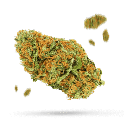 92 OG - Cannabissorte