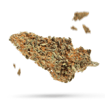 Acai Berry Gelato - Cannabissorte