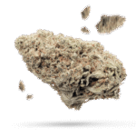 Acai Jelly - Cannabissorte