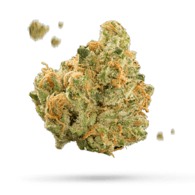 Ace of Spades - Cannabissorte