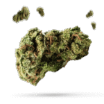 Afghan Hawaiian - Cannabissorte