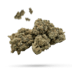 Afghan Sour Kush - Cannabissorte