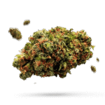 Afghani Grapefruit - Cannabissorte