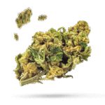 After Life OG - Cannabissorte