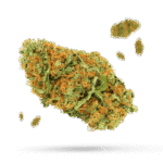 Alien Asshat - Cannabissorte