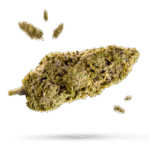 Alien Bubba - Cannabissorte