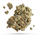 Alien Mints - Cannabissorte