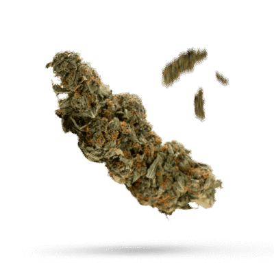 Alien OG - Cannabissorte