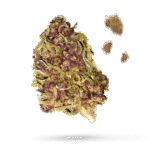 All Gas OG - Cannabissorte