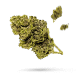 Aloha Grape Stomper - Cannabissorte