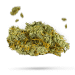 Apple Kush - Cannabissorte