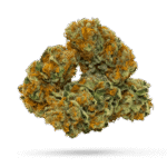 Babby Powder - Cannabissorte