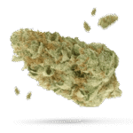 Battery Stick - Cannabissorte