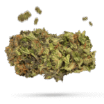 Berry Baoxom - Cannabissorte