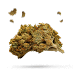 Big Sur Holy Weed - Cannabissorte