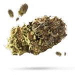 Blackberry Moonrocks - Cannabissorte