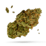 Blue Dragon - Cannabissorte