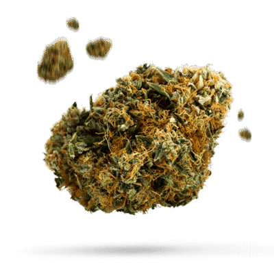 Blue Dream - Cannabissorte