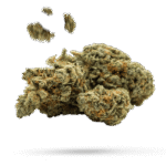 Breath Mints - Cannabissorte