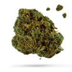 Bubba Fish - Cannabissorte