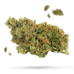 Bubba Kush - Cannabissorte