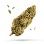 Bubba Tom Hayes - Cannabissorte