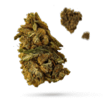 Cake Frosting - Cannabissorte