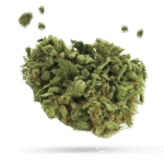 Cake's Revenge - Cannabissorte