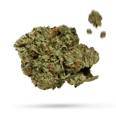 California Orange - Cannabissorte