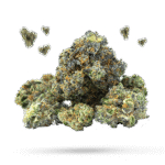 Calm 101 - Cannabissorte