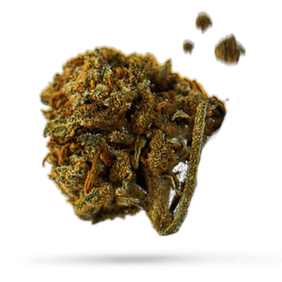 Canna-Tsu - Cannabissorte