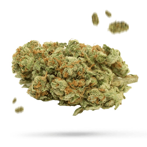 Captain Crunch - Cannabissorte