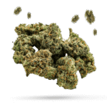 Caramel Kona Coffee Cookies - Cannabissorte