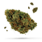 Charlie Sheen - Cannabissorte