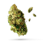 Chem Sour Face - Cannabissorte