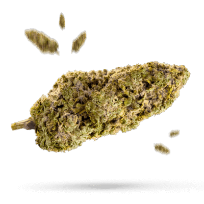 Chemdawg - Cannabissorte