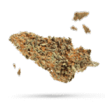 Chemo - Cannabissorte