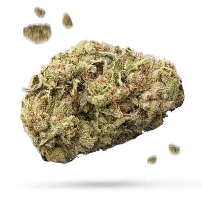 Chernobyl - Cannabissorte