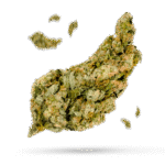 Cherry AK-47 - Cannabissorte