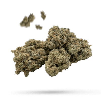 Cherry Cake - Cannabissorte